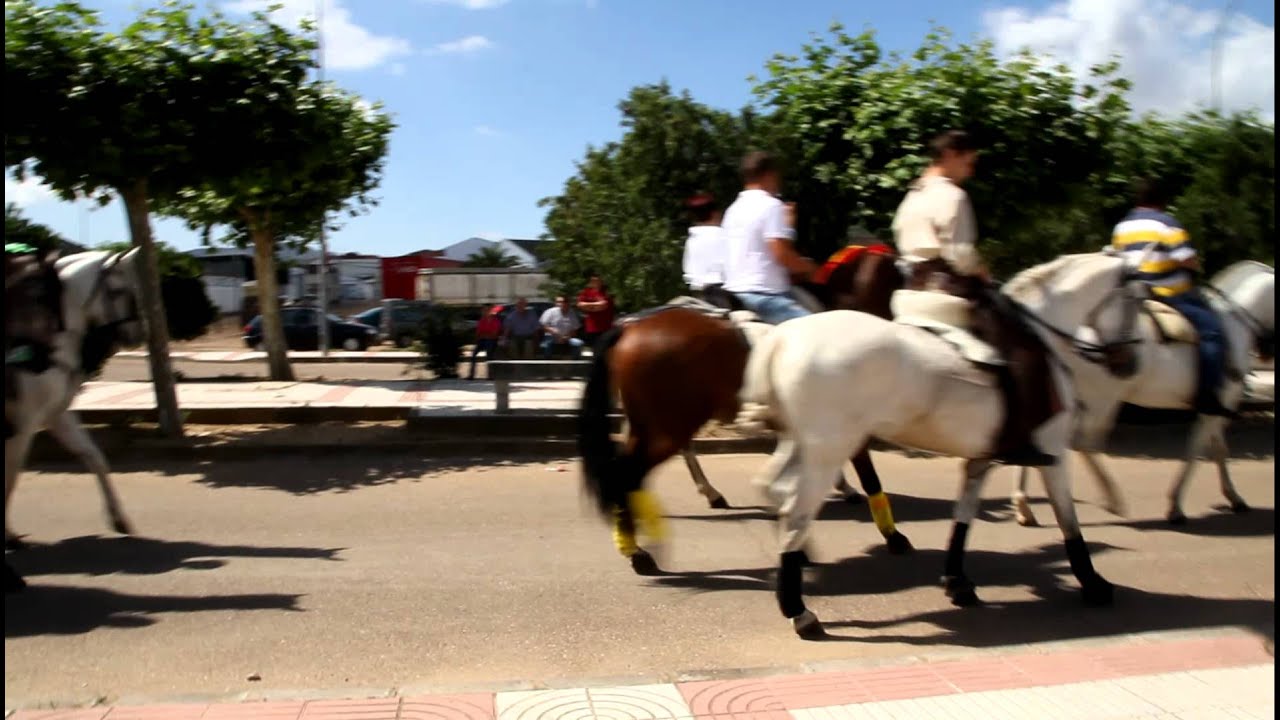 Granada Baila a Caballo - Navalvillar de Pela 2011