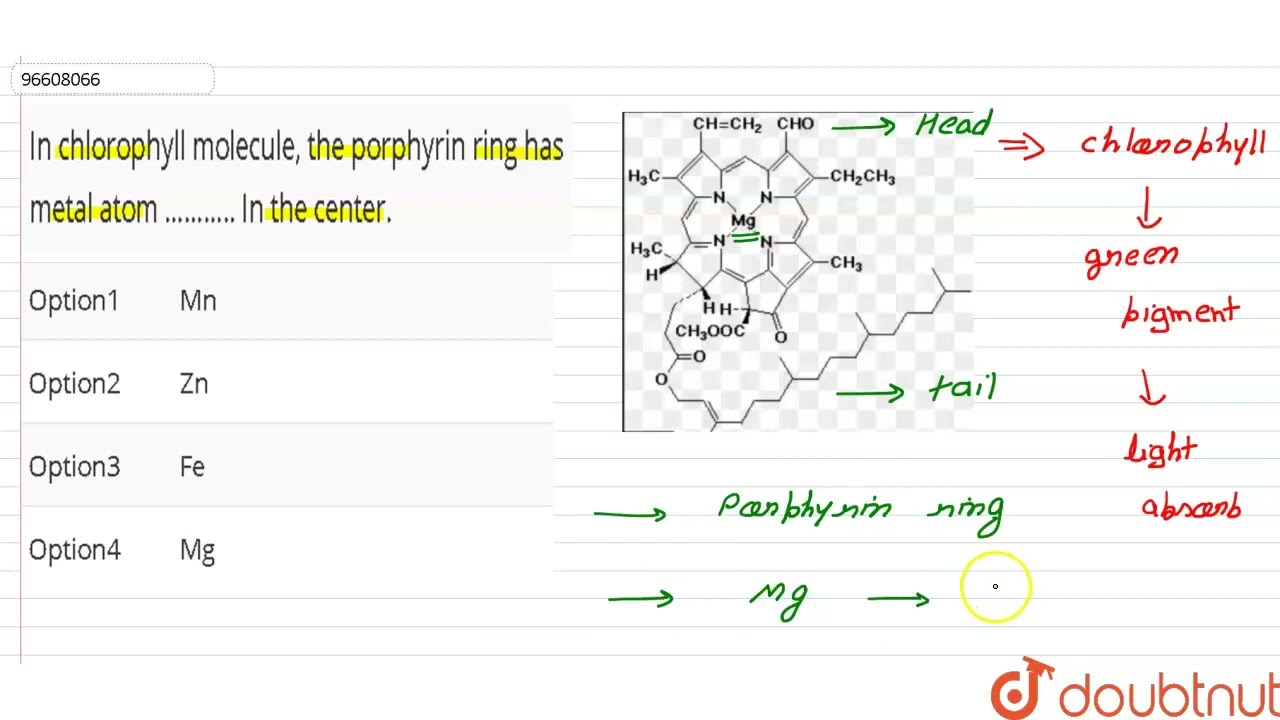 SOLVED: Which of the following statements concerning chlorophyll is  correct? * 1 point a. The porphyrin ring contains an iron atom at its core.  b. Chlorophyll a and Chlorophyll b are vastly