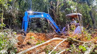 Powerful Excavator Clearing a Path Through The Abandoned Woods For Plantations In Mountain Vol.02