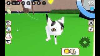 GAME NAME:BAD CAT #roblox