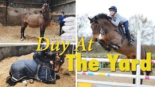 Day at the yard and a pretty new girth! | Vlog 4