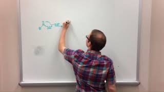 CHM 262 Real Life Orgo Project Group 28