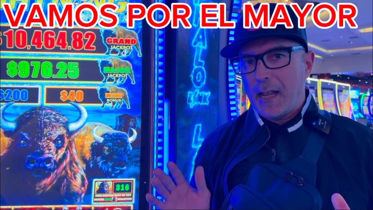 BÚFALO LINK: BUSCANDO EL MAYOR