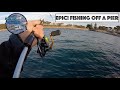 EPIC! Fishing Off A Pier