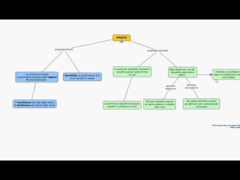 Video: Differenza Tra Acile E Acetile