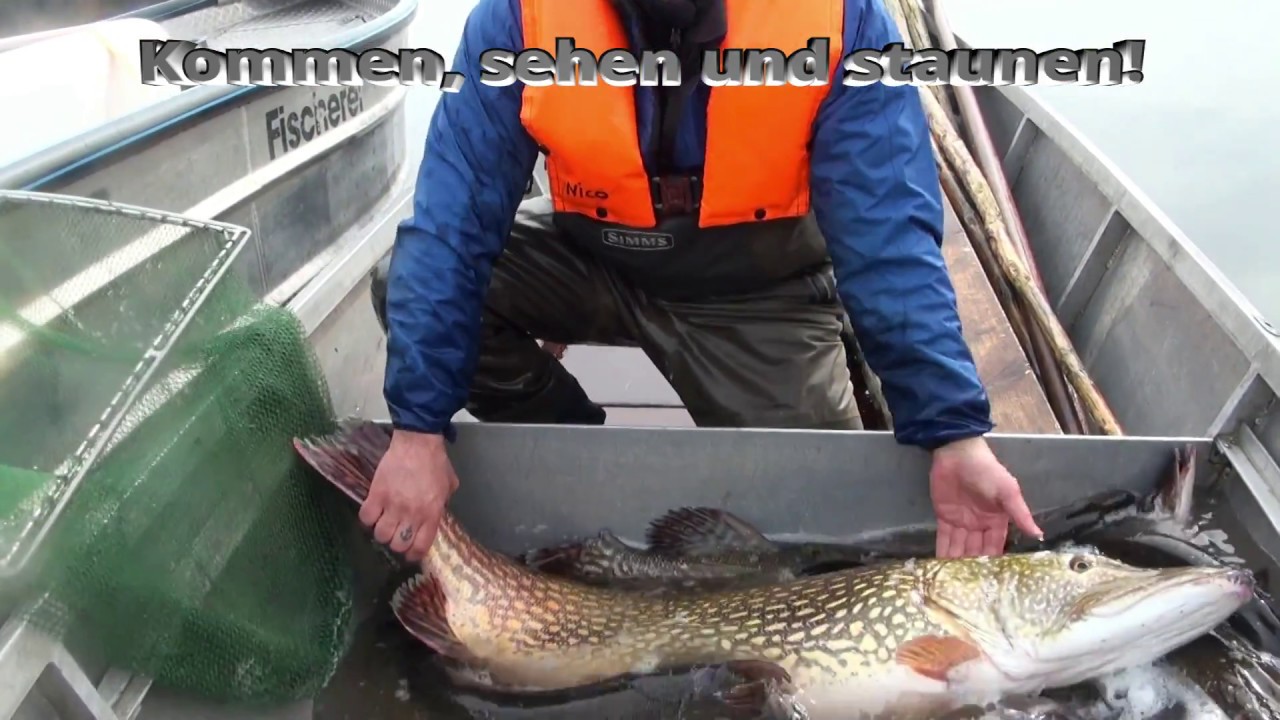 Megahechte im Möhnesee ganz anders betrachtet...