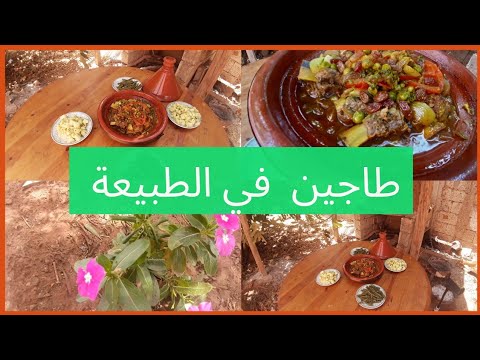 يوم في الطبيعة / طاجين باللحم والجلبنة مع خضر مشرملة بتتبيلة لذيذة/ غداء بسيط صيفي