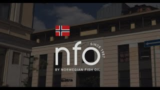 Как мы отметили день рождения NFO 🥳