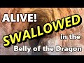 Belly of the Dragon &amp; The Barracks Trail  //  RV Boondocking and RZR Adventures