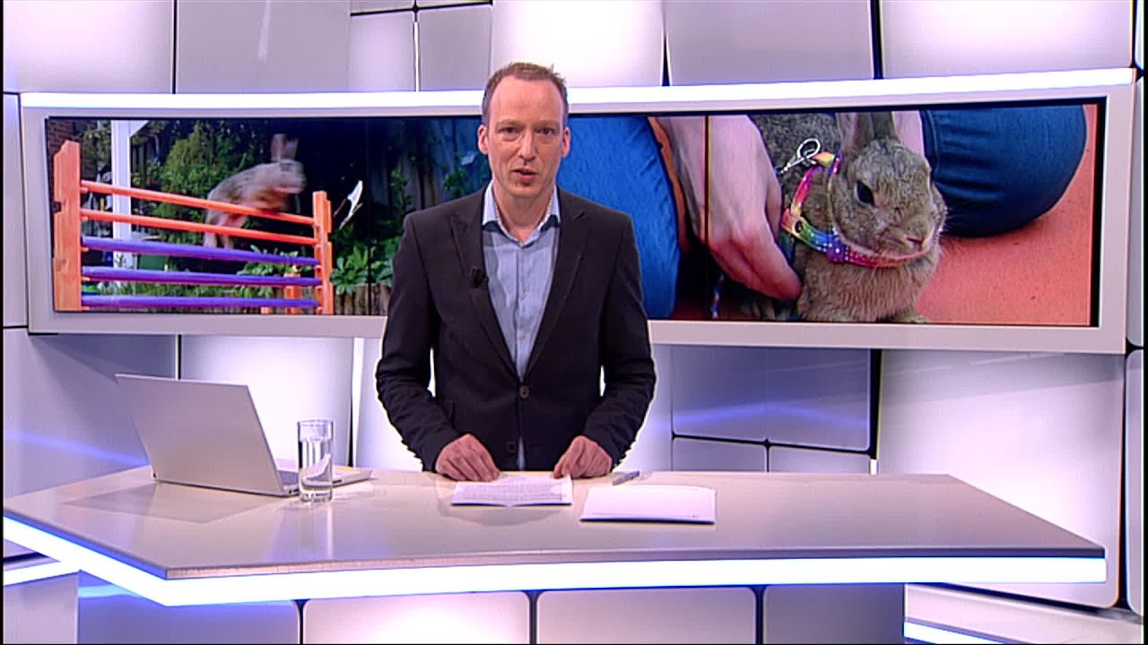 EK Konijn-Hop met Eindhovense deelneemster