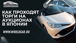 Как проходят торги на японских автоаукционах? 📈