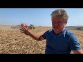 Прямой посев пшеницы по кукурузе монодиском Turbosem - Болгария, No-Till