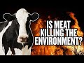 Is Meat Bad for the Environment? | Amazon Rainforest Fires