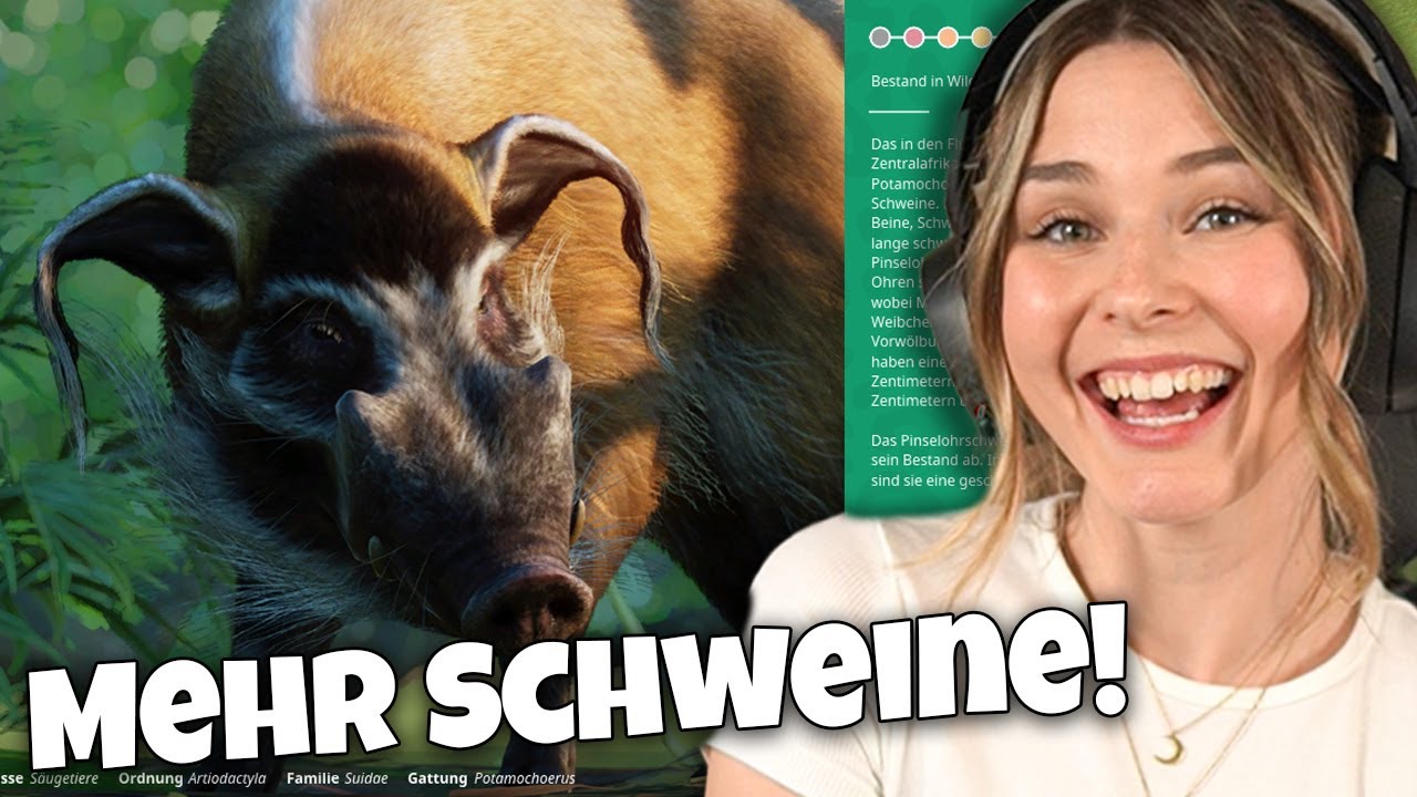 Der Zoo braucht mehr Schweine! - Planet Zoo: Muckelzoo 90 (Stream vom ... Der Zoo braucht mehr Schweine! - Planet Zoo: Muckelzoo 90 (Stream vom ...