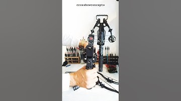 M10 & PD-5 STEAMBOW: Where should I mount my NEW RED DOT SIGHT SB1X20? On my Swat X1? 😉 #choice