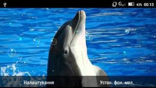 Sea Dolphins HD live wallpaper screenshot 2