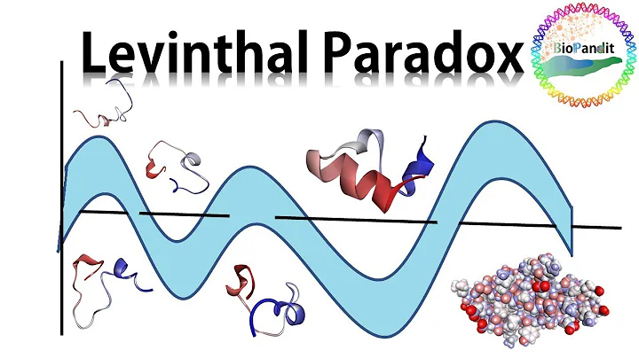 Levinthal Paradox