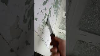 Scraping off lead paint from 1903