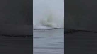 Humpback Whale Breaches The Ocean!