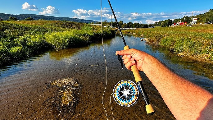 TOPWATER Fly Fishing for Bass w/ a FROG FLY!!! 