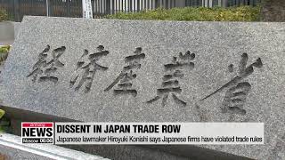 Japanese lawmaker Hiroyuki Konishi says Japan is to blame for violating ...