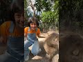 Christina en el #zoo y su #capybara 🩵😯😍 #123andres #kidsvideo #kidssong #preschool #shorts