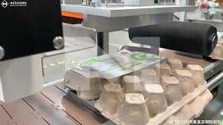 Automatic Egg Tray Cold Glue Labeling Machine