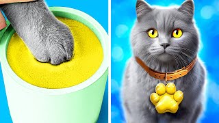 Stray Cat Transformation! 💖 Best Gadgets for Pets