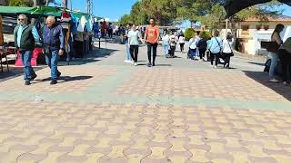 Saturday morning market in Martos 