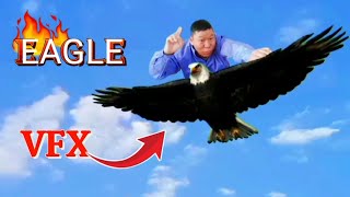 Eagle VFX : Advanced Techniques And Tips 🦅 Flying With EAGLE vfx