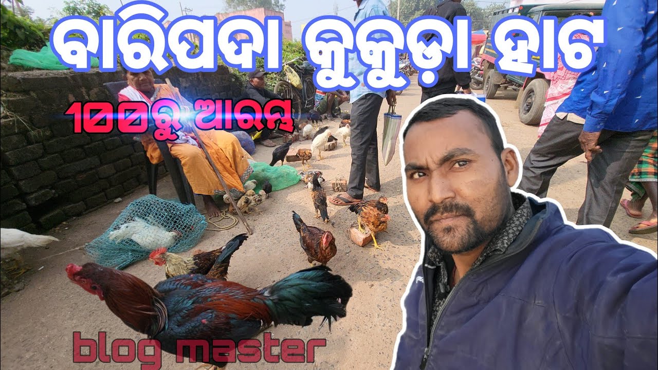baripada kukudahato/ murga hato #travelvideo #barapada hato vlog #odisa village life #odisa tour