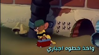 مهرجان خطوه اجباري من مسلسل راجعين ياهوا على قط وفار