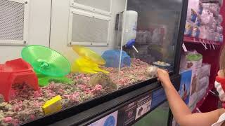 VISITING PETCO STORE IN LA CALIFORNIA