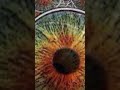 Eyes of the world jam cover #gratefuldead #jerrygarcia #eyesoftheworld #roberthunter #sanfrancisco
