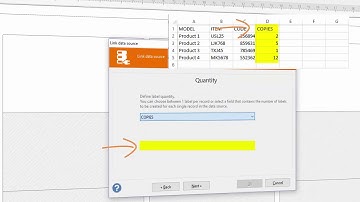 Labeljoy 6 - Cómo establecer el número de etiquetas del archivo fuente de datos