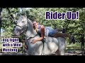 Rider Up! | Day Eight with a Wild Mustang