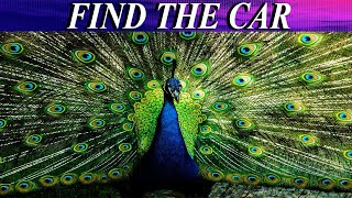Finding Game | Find The Hidden Object | AR Entertainment | Master Mind Game | Brain Booster screenshot 5