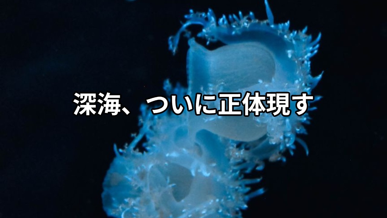 未知の世界フロンティア - YouTube