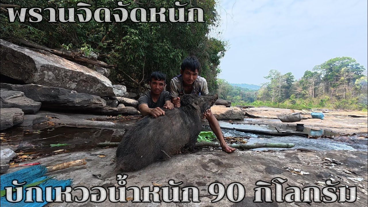 26 กุมภาพันธ์ ค.ศ. 2026