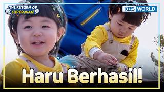 Haru Bikin Menara Batu Di Puncak! 😲 | The Return of Superman [IND/ENG] | KBS WORLD TV 260503