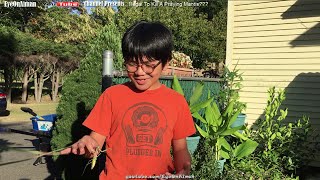 Is It Illegal To Kill A Praying Mantis? Outdoor Summer Activity & Backyard Gardening Vlog By Aiman