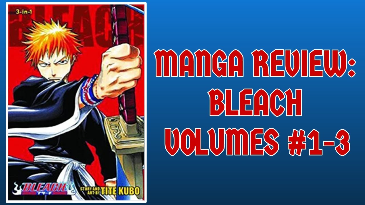 BLEACH Manga Volume 3