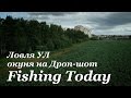 Ловля УЛ окуня на Дроп-шот - Fishing Today