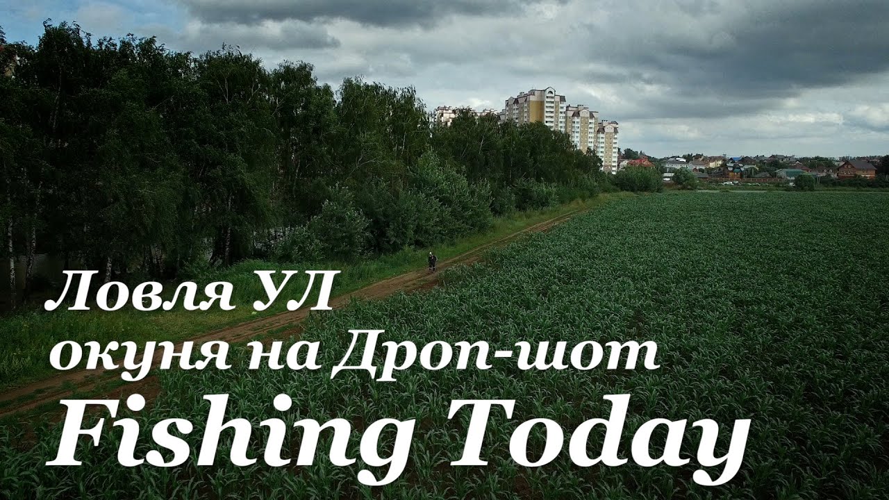 Ловля УЛ окуня на Дроп-шот - Fishing Today