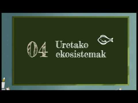 Uretako ekosistemak 3-4DBH