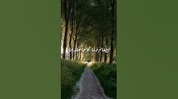 وما أرسلنا من قبلك الا رجالا نوحي إليهم #المصحف #القرآن_الكريم #سورة_النحل #فارس_عباد