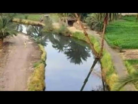 صور نادرة الريف المصري القديم