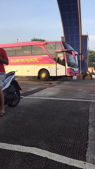 Pesona pink dari kota Wonogiri BUS GAJAH MUNGKUR