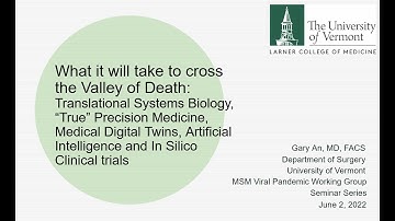 WG Seminars: An, Medical Digital Twins, AI and In Silico Clinical Trials, June 2, 2022
