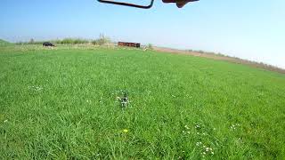 Blade 450X hovering